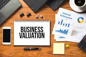 Business valuation master section